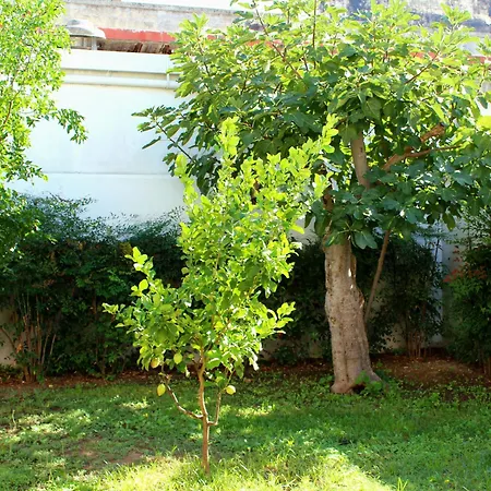 Urban Nest بيت للعطل باري