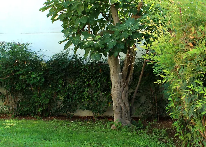 Urban Nest باري
